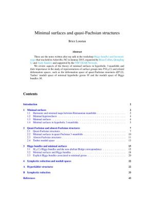 Minimal Surfaces and Quasi-Fuchsian Structures