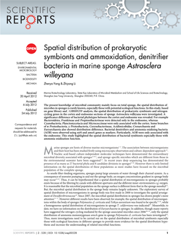 Spatial Distribution of Prokaryotic Symbionts and Ammoxidation