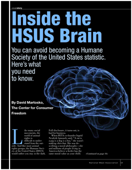 Inside the H$U$ Brain
