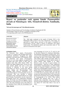 Report on Peninsular Rock Agama Female Psammophilus Dorsalis at Mahalingam Hills, Tirunelveli District, Tamilnadu, India