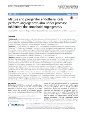 Mature and Progenitor Endothelial Cells Perform Angiogenesis Also
