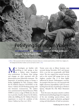 Petrifying Springs in Wales