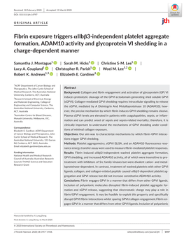 Fibrin Exposure Triggers Αiibβ3‐Independent Platelet Aggregate Formation, ADAM10 Activity and Glycoprotein VI Shedding in A
