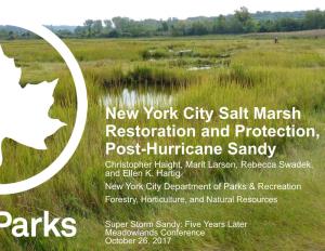 New York City Salt Marsh Restoration and Protection, Post-Hurricane Sandy