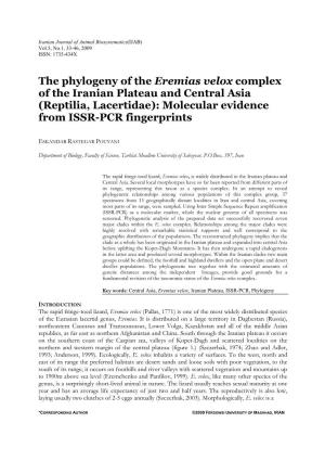 The Phylogeny of the Eremias Velox Complex of the Iranian Plateau and Central Asia (Reptilia, Lacertidae): Molecular Evidence from ISSR-PCR Fingerprints