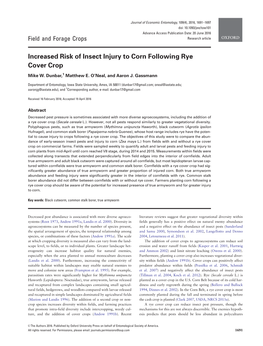 Dunber: Armyworm Insect Injury to Corn Following