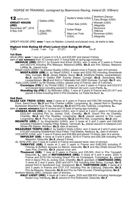 HORSE in TRAINING, Consigned by Bawnmore Racing, Ireland (D