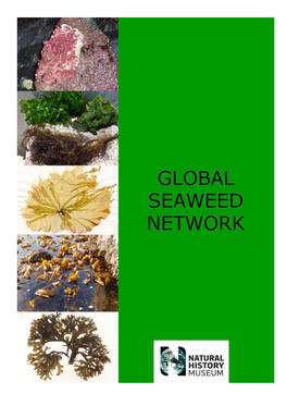 Global Seaweed Network