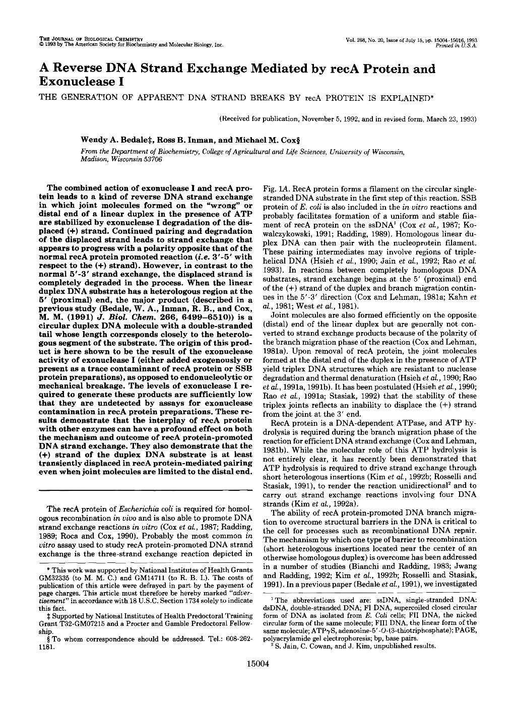 A Reverse DNA Strand Exchange Mediated by Reca Protein and Exonuclease I the GENERATIONOF APPARENT DNA STRANDBREAKS Byreca PROTEIN IS EXPLAINED*