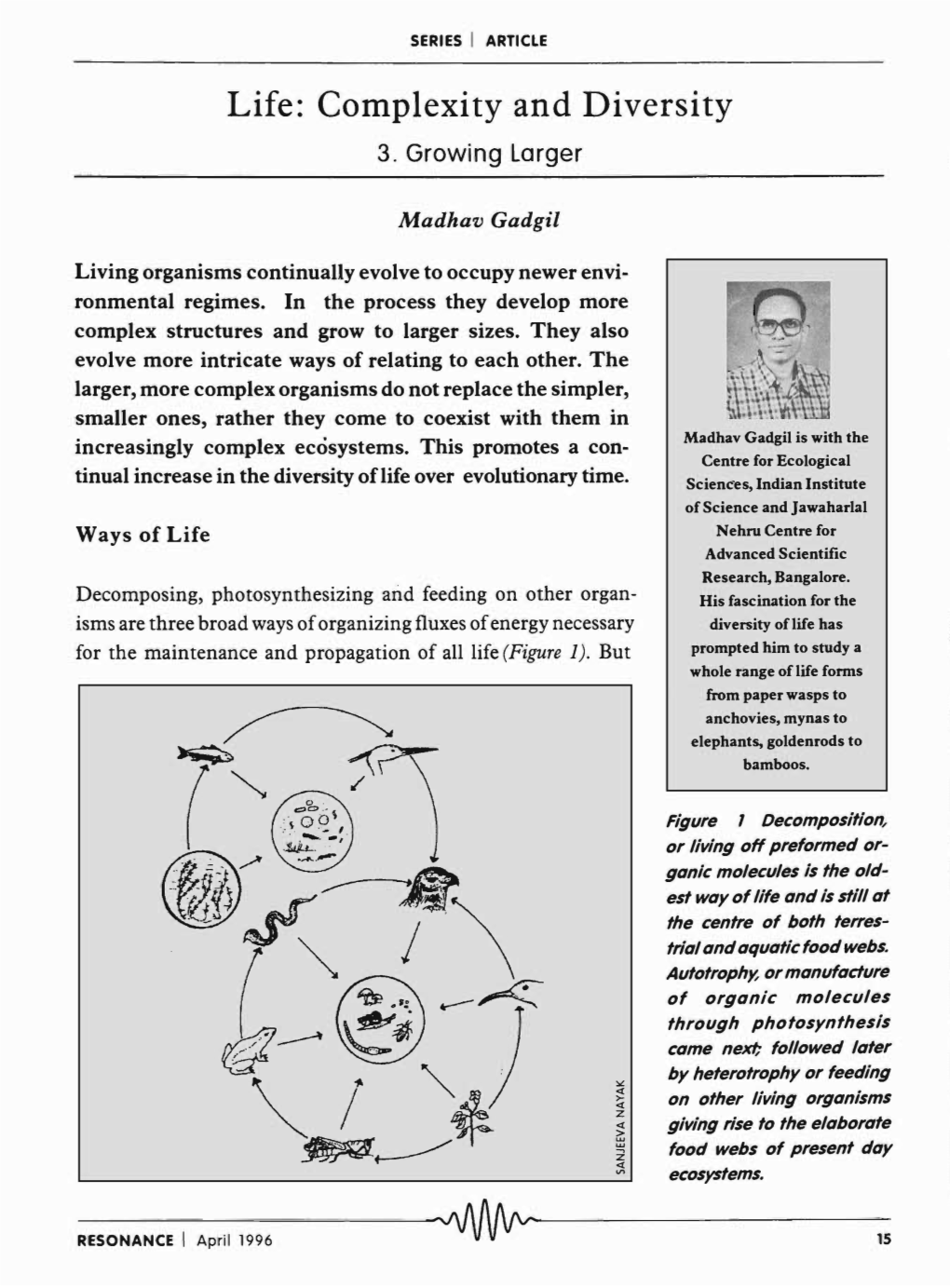 Life: Complexity and Diversity 3