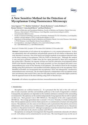 A New Sensitive Method for the Detection of Mycoplasmas Using Fluorescence Microscopy