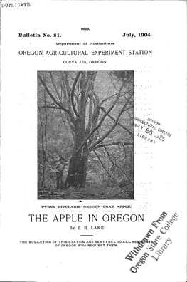 The Apple in Oregon Be