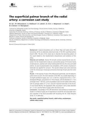 The Superficial Palmar Branch of the Radial Artery: a Corrosion Cast Study M