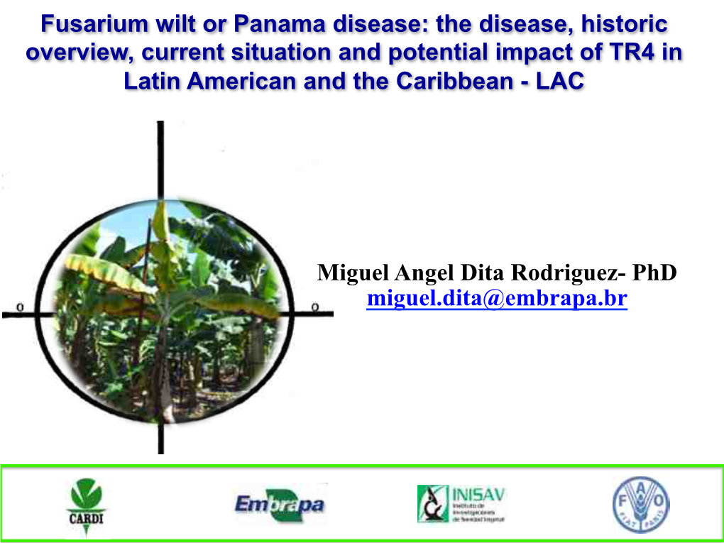 Fusarium Wilt Or Panama Disease Historic Overview