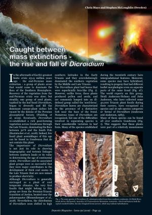 Caught Between Mass Extinctions - the Rise and Fall of Dicroidium