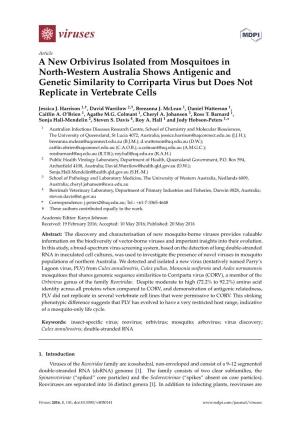A New Orbivirus Isolated from Mosquitoes in North-Western Australia Shows Antigenic and Genetic Similarity to Corriparta Virus B