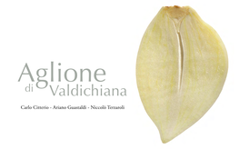 Aglione Di Valdichiana Is, on the One Hand, a Basic Garden Vegetable