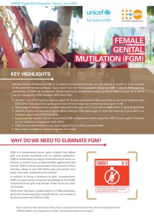 Female Genital Mutilation (Fgm)