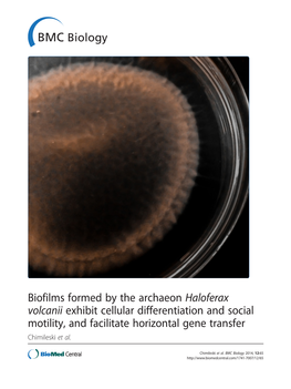 Biofilms Formed by the Archaeon Haloferax Volcanii Exhibit Cellular Differentiation and Social Motility, and Facilitate Horizontal Gene Transfer Chimileski Et Al