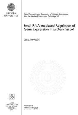 Small RNA-Mediated Regulation of Gene Expression in Escherichia Coli