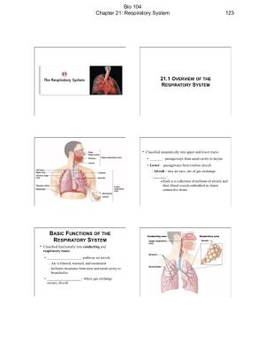Bio 104 Chapter 21: Respiratory System 123