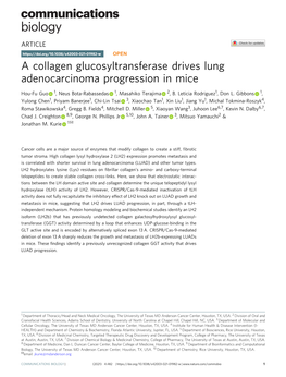 A Collagen Glucosyltransferase Drives Lung Adenocarcinoma Progression in Mice