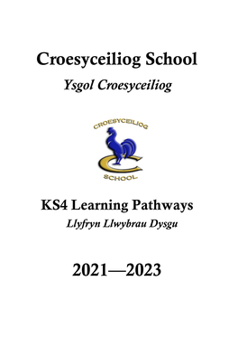 Croesy 14+ Learning Pathways Booklet PDF File