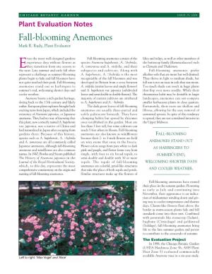 Fall-Blooming Anemones Mark R
