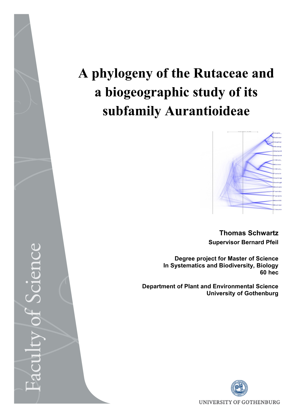 A Phylogeny of the Rutaceae and a Biogeographic Study of Its Subfamily Aurantioideae