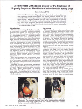 Lingually Displaced Mandibular Canine Teeth in Young Dogs Leen Verhaert, DV\{