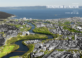 Trondheim By/Natur