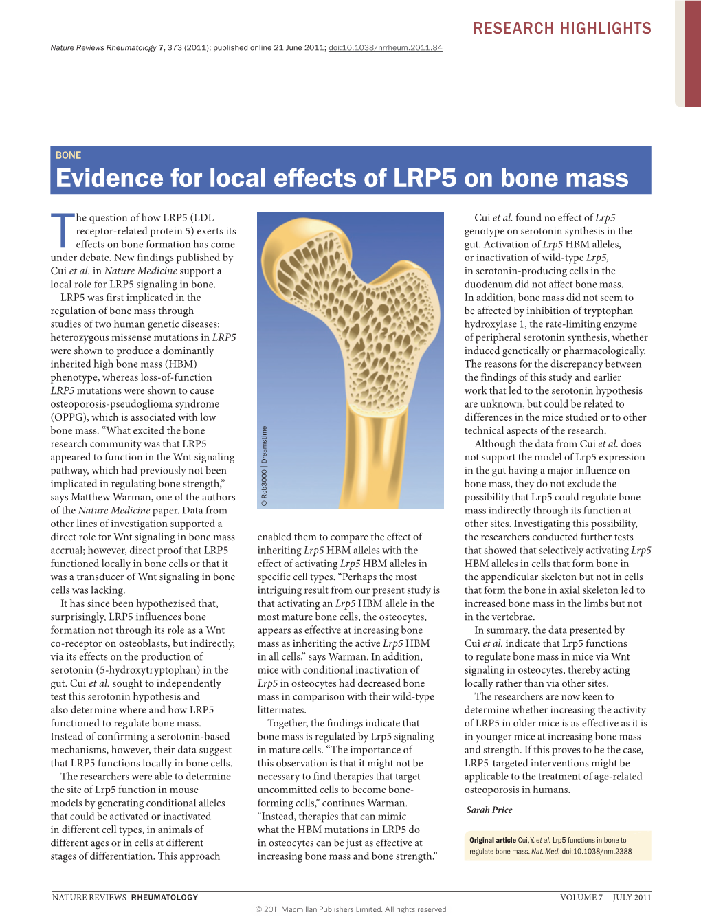Boneevidence for Local Effects of LRP5 on Bone Mass
