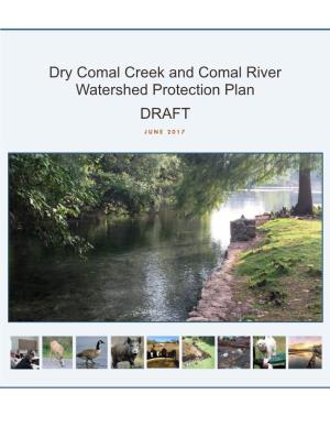 Dry Comal Creek and Comal River Watershed Protection Plan DRAFT