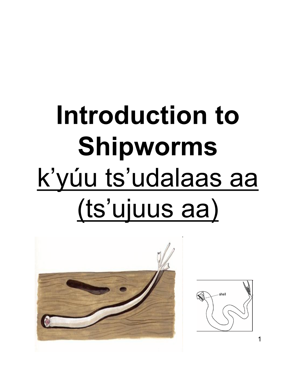 Introduction to Shipworms K’Yúu Ts’Udalaas Aa (Ts’Ujuus Aa)