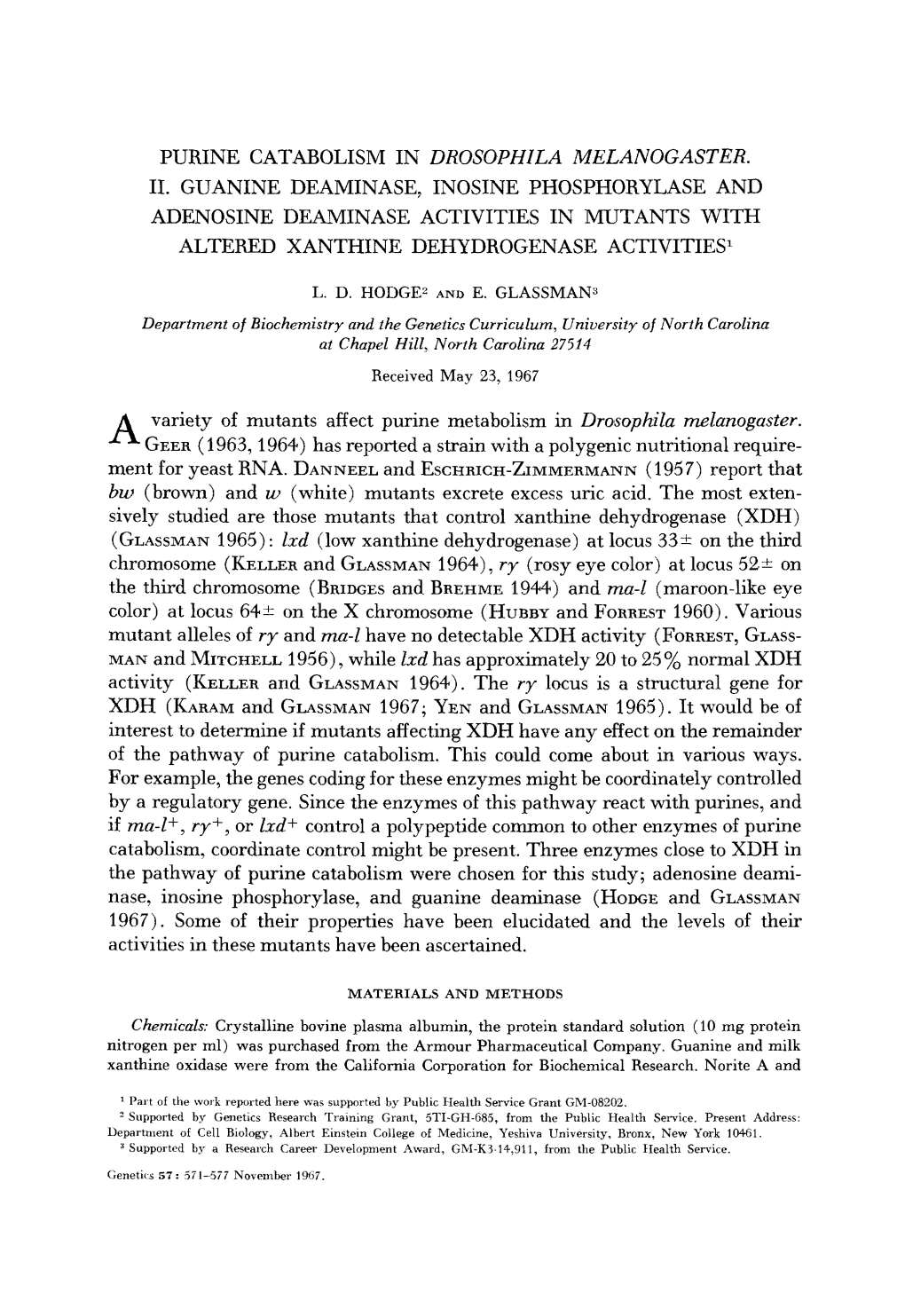 Purine Catabolism in Drosophzla Melanogaster