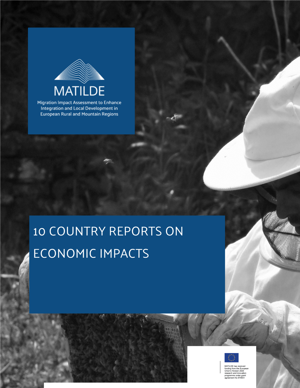 10 Country Reports on Economic Impacts