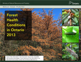 Forest Health Conditions in Ontario 2013