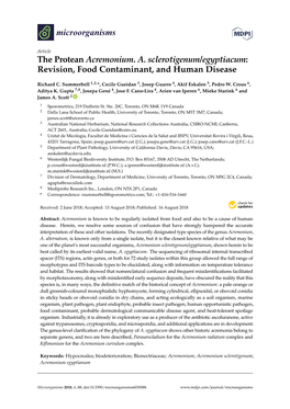 The Protean Acremonium. A. Sclerotigenum/Egyptiacum: Revision, Food Contaminant, and Human Disease