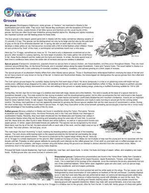 View PDF of Spruce Grouse
