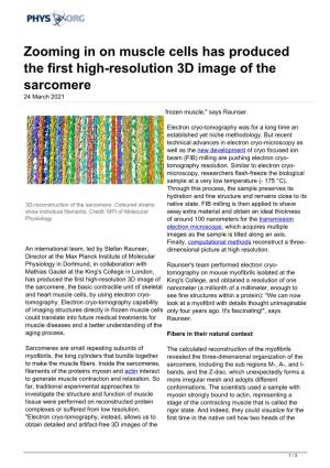 Zooming in on Muscle Cells Has Produced the First High-Resolution 3D Image of the Sarcomere 24 March 2021