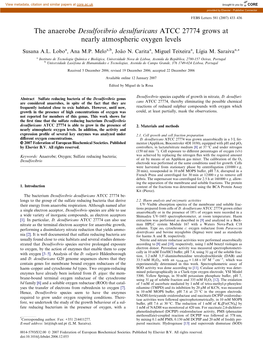 The Anaerobe Desulfovibrio Desulfuricans ATCC 27774 Grows at Nearly Atmospheric Oxygen Levels