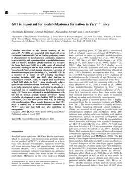 Gli1 Is Important for Medulloblastoma Formation in Ptc1ю /А Mice