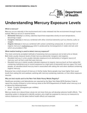 Understanding Mercury Exposure Levels