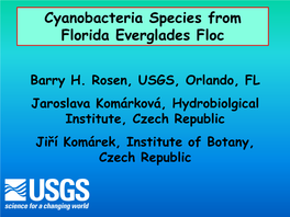 Cyanobacteria Species from Florida Everglades Floc