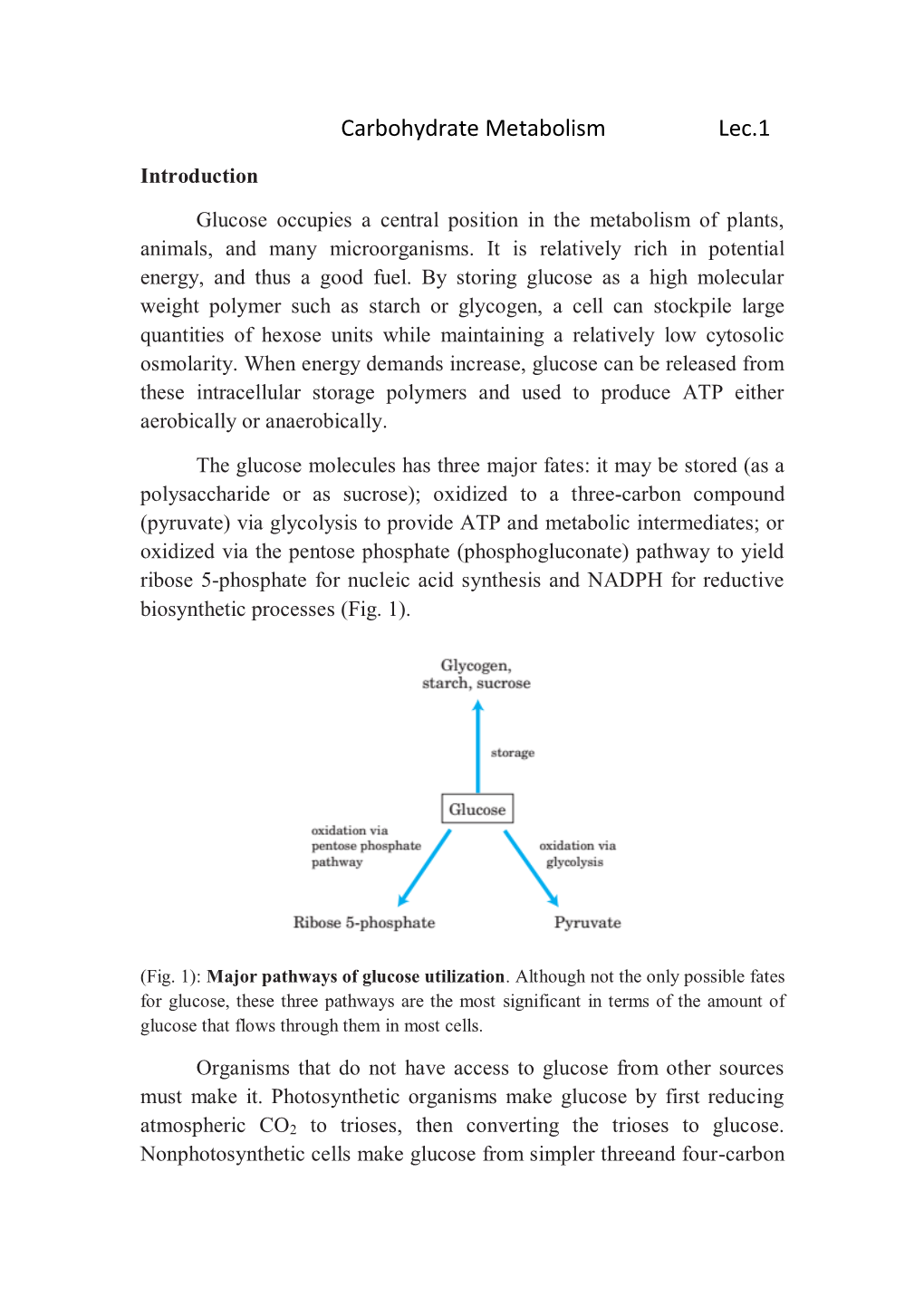 Carbohydrate Metabolism Lec.1