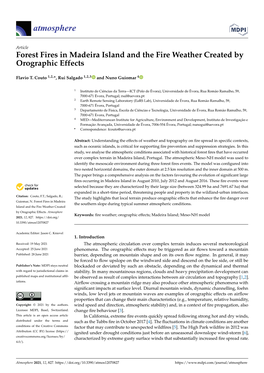 Forest Fires in Madeira Island and the Fire Weather Created by Orographic Effects