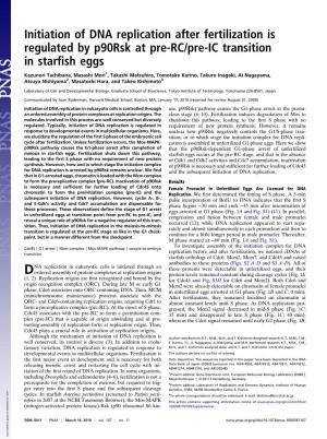 Initiation of DNA Replication After Fertilization Is Regulated by P90rsk at Pre-RC/Pre-IC Transition in Starﬁsh Eggs