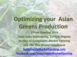 Producing Asian Greens for Market