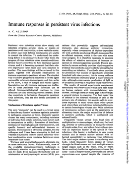 Immune Responses in Persistent Virus Infections