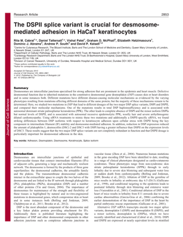 The DSPII Splice Variant Is Crucial for Desmosome- Mediated Adhesion In